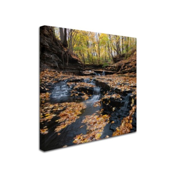 Kurt Shaffer 'Lakeview Autumn Falls' Canvas Art,14x14